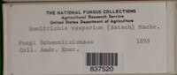 Image Associated With the Occurence
